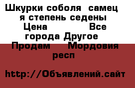 Шкурки соболя (самец) 1-я степень седены › Цена ­ 12 000 - Все города Другое » Продам   . Мордовия респ.